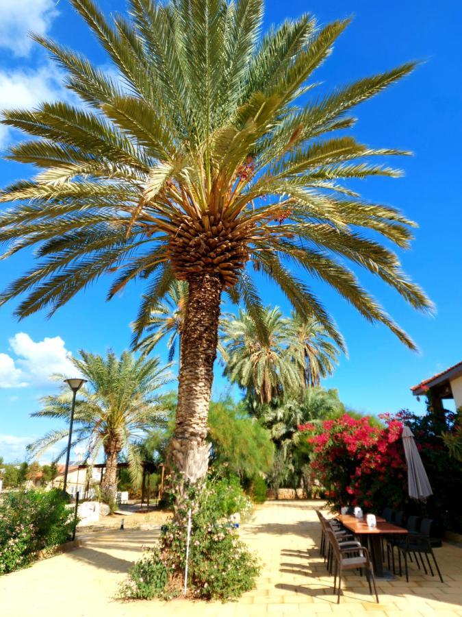 Golden Palms Guest House & Cafe Famagusta  Exterior photo