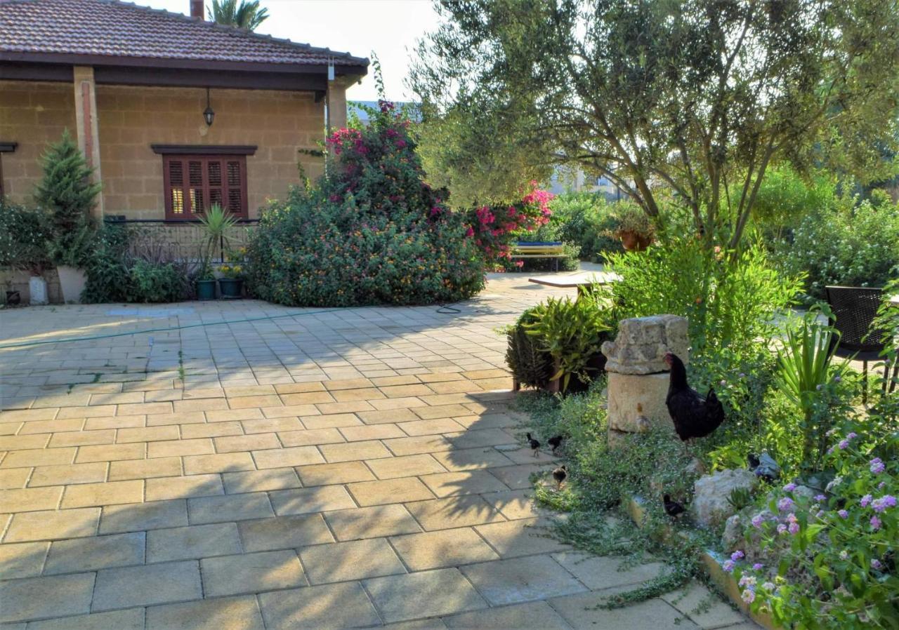 Golden Palms Guest House & Cafe Famagusta  Exterior photo